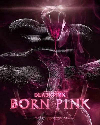 Miniatura 8 de BLACKPINK BORN PINK - 2º álbum de caja de álbum versión CD+Photobook+papel de letras de acordeón+tarjeta fotográfica grande+postal+película