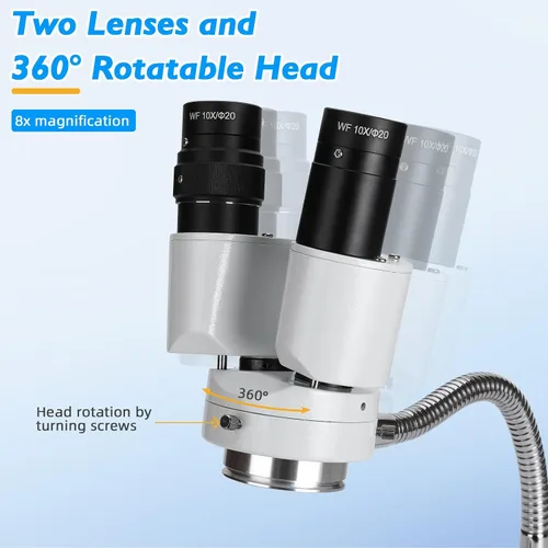 Miniatura 2 de Microscopio dental con luz LED - Estereomicroscopios 360 Revolve 8X Ampliación Binocular Microscopio Estéreo Binocular Dental Microscopio Binocular