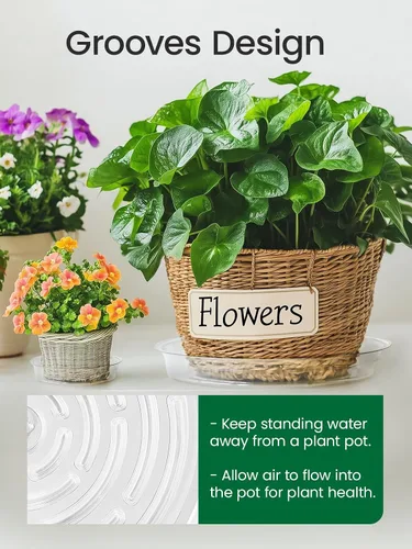 Miniatura 6 de GROWNEER 15 paquetes de platillos transparentes de 6 pulgadas para plantas, bandejas para macetas, con 15 etiquetas para plantas, platillos