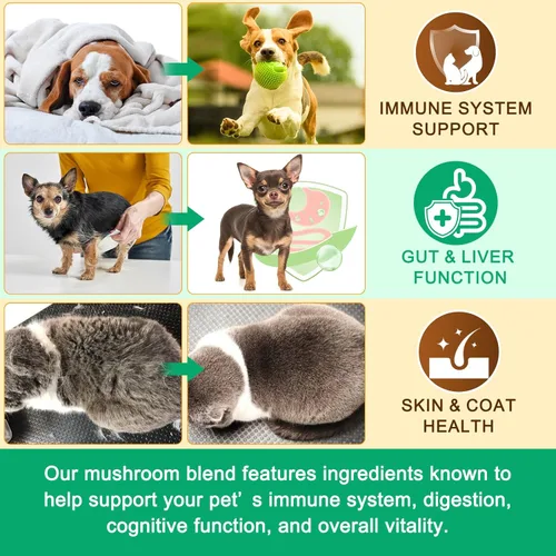Miniatura 3 de Suplemento de hongos en polvo para perros y gatos, 11 complejos beneficiosos de hongos para apoyo inmunológico, protección celular, salud cardíaca
