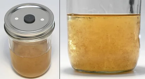 Miniatura 3 de Root Mushroom Farm- Premezcla/botella de cultivo líquido de hongos (4.23 oz, polvo)