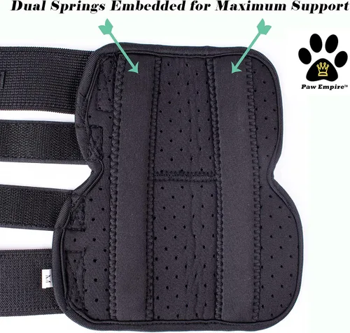 Miniatura 4 de Par de soportes para piernas de perro, ultra apoyo, cómodo, resortes de metal duales, envolturas para patas traseras, soporte de corvillo canino
