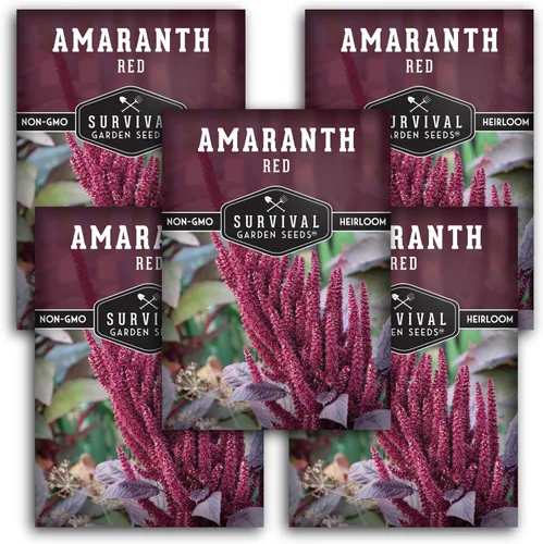 Semillas de amaranto rojo para plantar, verduras de hoja verde comestible y variedad de granos, microgreens de rápido crecimiento o cosecha de