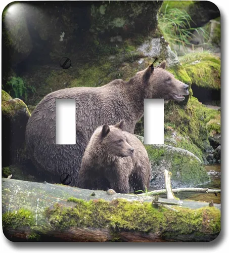 Miniatura 3 de 3dRose Brown bear cub staying close to mom at Anan Creek. 2 plug outlet cover
