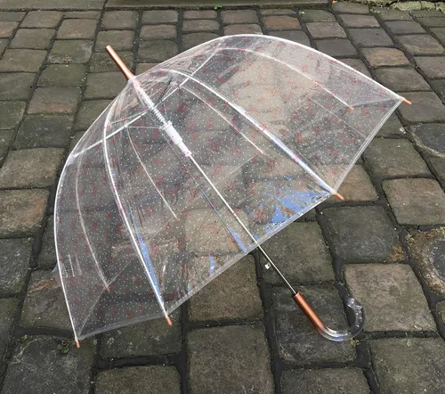 Miniatura 3 de SMATI París - Paraguas transparente de jaula para pájaros con diseño de constelación - Transparente Resistente al viento Apertura automática Mango