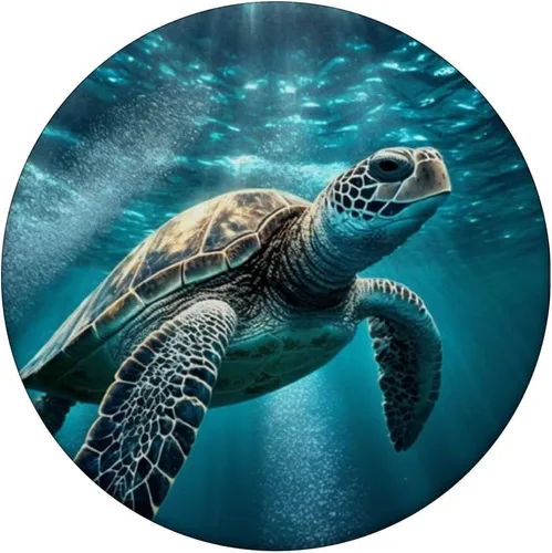 Miniatura 3 de Sea Turtle Beach Turtles Design PC PopSockets PopGrip intercambiable