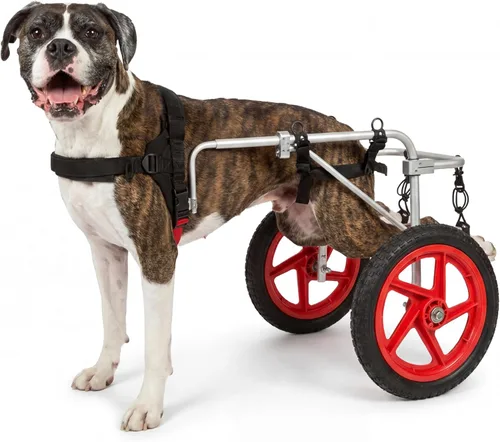 Miniatura 5 de Silla de ruedas mediana para perros de 40 a 60 libras