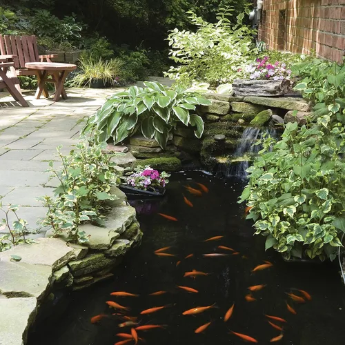 Miniatura 10 de Bomba de agua TetraPond para el jardín