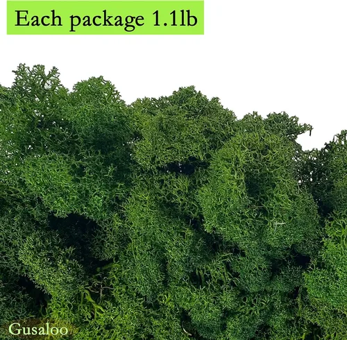 Miniatura 5 de Musgo artificial preservado de 1.1 libras para plantas en maceta, musgo verde fresco natural para manualidades, musgo artificial, orquídea floral