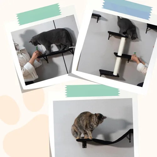 Miniatura 9 de COZIWOW Muebles para gatos montados en la pared, estantes y perchas de pared para gatos, estantes flotantes para gatos para pared, juego de 5