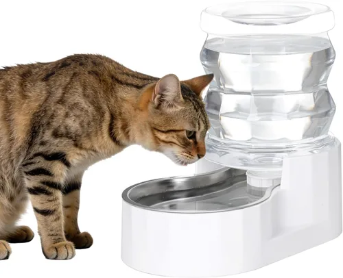 Miniatura 10 de RIZZARI Dispensador de agua grande para perros: 8L de gravedad elevada en negro, dispensador automático de acero inoxidable con cepillo Perla