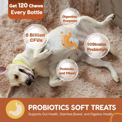 Miniatura 3 de Probióticos para perros, probióticos para perros para la salud digestiva, además de calabaza y aceite de pescado, para intestino y picazón, 120
