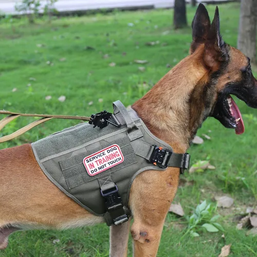 Miniatura 5 de ICEFANG - Arnés táctico para perro, talla L, 2 hebillas de metal, chaleco para transportar carga, ligero y modular (MOLLE) con mango, clip de correa