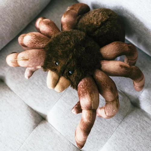 Miniatura 5 de The Petting Zoo Tarántula de peluche, regalos para niños, animales salvajes del zoológico Onez, juguete de peluche de tarántula sentado de 12