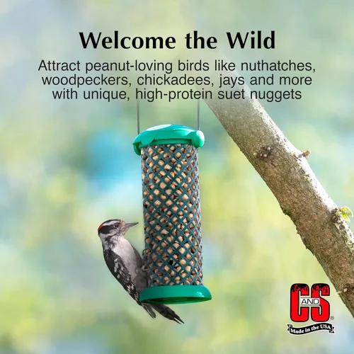Miniatura 8 de C&S Wild Bird - Mega caja de pepitas de sebo de maní, 8 libras