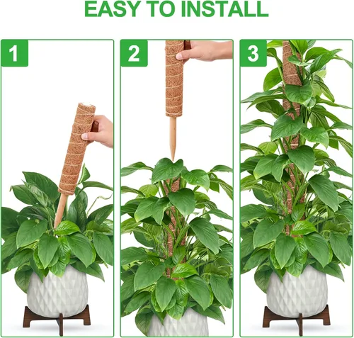 Miniatura 3 de GROWNEER Poste de musgo de 24 pulgadas para plantas de interior, 2 piezas de soporte de tótem de coco apilable de 15 pulgadas, palos de musgo con 15
