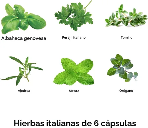 Miniatura 2 de AeroGarden Kit de Cápsulas de Semillas de Hierbas Italianas Surtidas, 6 Cápsulas