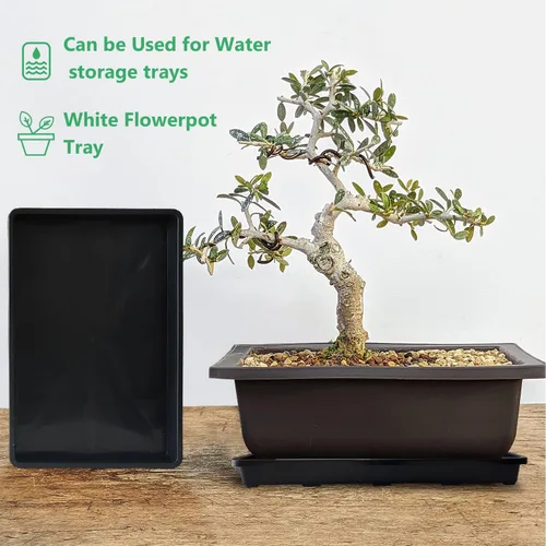 Miniatura 6 de RooTrimmer Paquete de 5 bandejas para macetas de vivero, bandeja de transporte y sujeción para plantas para macetas de inicio de semillas, Negro