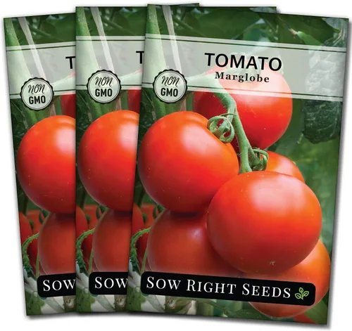 Miniatura 8 de Sow Right Seeds - Semillas de tomate Marglobe para plantar - Paquete de reliquia sin OMG con instrucciones para plantar y cultivar un huerto casero