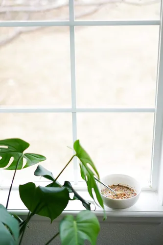 Miniatura 8 de Nana Joes Granola Serie Paleo Arándano, mantequilla de almendras y nuez Hecho a mano sin gluten, vegano, saludable, orgánico, a base de plantas