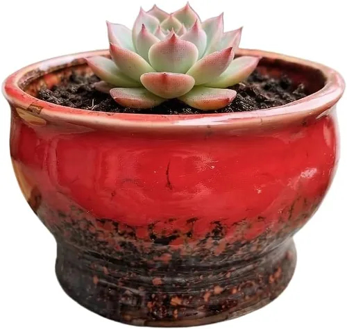 Miniatura 71 de Bonita maceta circular de cerámica para decoración del hogar y jardín, suculentas, cactus, maceta no incluida (azul, 3.19 pulgadas)