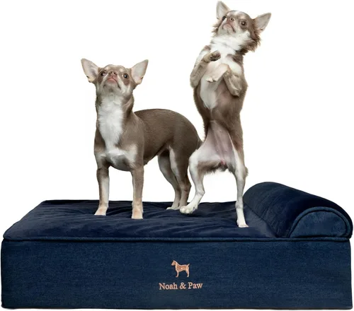 Miniatura 37 de NOAH & PAW Cama para perro, 28x23x7.5 pulgadas, camas ortopédicas para perros de tamaño mediano, espuma viscoelástica tipo cáscara de huevo Cuero