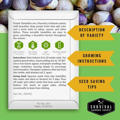 Miniatura 2 de Semillas de tomatillo morado para plantar, tomate de cáscara mexicana de reliquia, vegetal polinizado abierto sin OMG de alto rendimiento para salsa