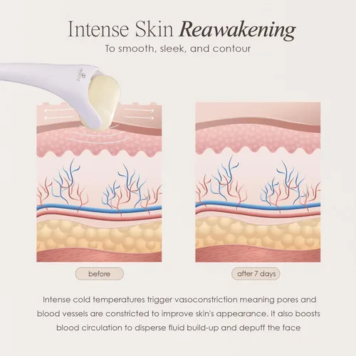 Miniatura 5 de The Ice Roller de Project E Beauty Tratamiento de crioterapia Masaje facial Reduce la hinchazón debajo de los ojos, ojeras Dolor muscular