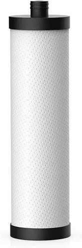 Frizzlife Filtro de repuesto PLC10 para filtro de agua debajo del fregadero FK99/FP99/SW10/SW10F