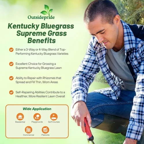 Miniatura 2 de Outsidepride Supreme Kentucky Bluegrass Seed Mix - 25 libras tolerante al frío, textura fina con revestimiento OptiGrowth para mejorar las semillas