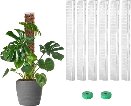 EOX 6 Piezas Postes de Musgo de Plástico de 24 Pulgadas para Monstera, Postes Grandes en Forma de D para Plantas Trepadoras que Funcionan con Musgo
