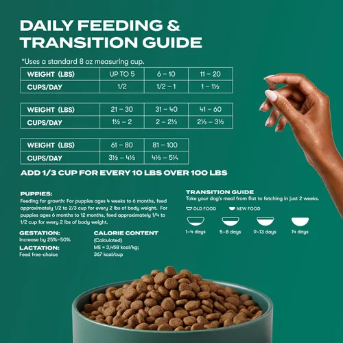 Miniatura 8 de Jinx - Alimento seco premium sin granos para perros, para todas las etapas de la vida - Pienso para cachorros de salmón real, batata y zanahoria