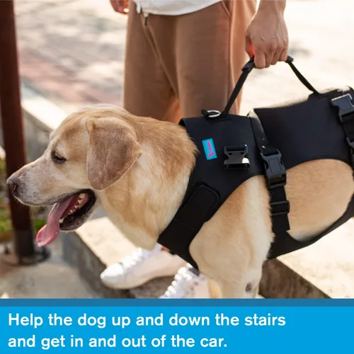 Miniatura 5 de Arnés de elevación para perros, chaleco de elevación de rehabilitación para perros, correa de apoyo y recuperación, correas de elevación ajustables