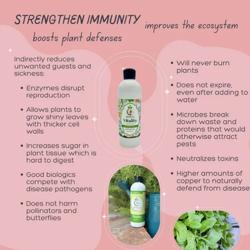 Miniatura 7 de VermisTerra Vitality - Alimento para plantas de interior y plantas de interior, fertilizante equilibrado de la madre tierra, orgánico, esquejes