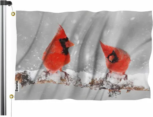 Miniatura 13 de Bandera Pirata de Swono - Mapa del Tesoro Mar de Coral Brújula Calavera para Jardín Interior y Exterior, Hogar, Granja, Bandera en Pie 3x5 pies
