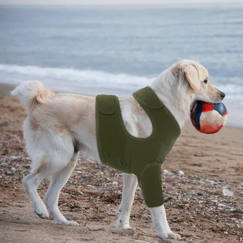 Miniatura 8 de Nanaki Trajes de recuperación para cirugía de perro para patas delanteras, manga para pierna de perro para dejar de lamer, pantalones anti-lamida