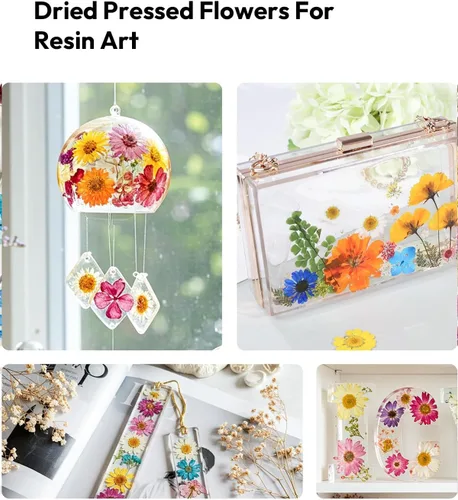Miniatura 7 de Flores Secas, Resiners 100 Piezas de Flores Prensadas para Manualidades Amarillas Flores Secas Naturales Reales Kit de Hojas Secas para Hacer
