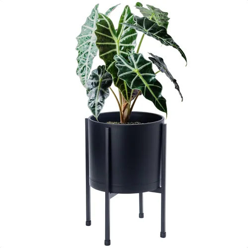 Miniatura 7 de D'vine Dev Maceta negra de 8 pulgadas con soporte, moderna maceta cilíndrica de plástico con soporte de metal resistente para plantas