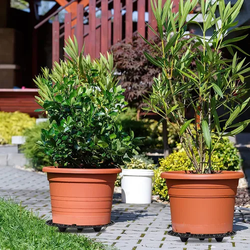 Miniatura 5 de 8 piezas de soportes para plantas para interiores y exteriores, elevador de maceta a nivel de planta, soporte elevador para plantas de 2 tamaños