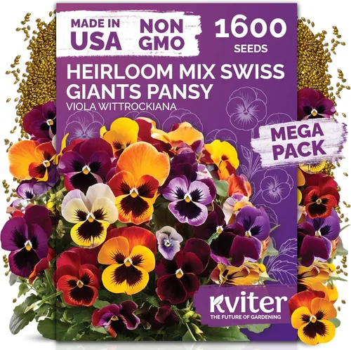 Miniatura 12 de KVITER 25 semillas de algodón blanco para plantar (Gossypium hirsutum) – Planta de algodón real, semillas de algodón para cultivo, semillas