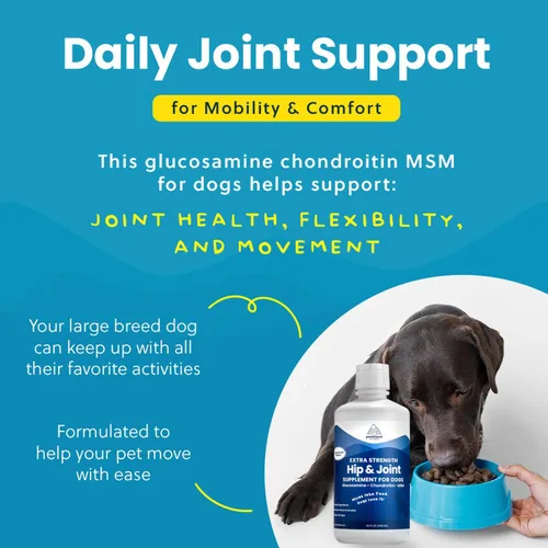 Miniatura 6 de Paramount Pet Health Glucosamina concentrada totalmente natural para perros grandes – 5200 mg de glucosamina condroitina para perros – Suplemento