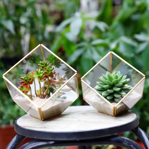 Miniatura 7 de ELEGANTLIFE Terrario de Plantas Geométrico de Cristal, Macetas para Suculentas y Plantas de Aire para Decoración de Hogar, Jardín, Oficina