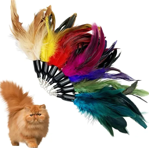 Miniatura 5 de Recambio de juguetes de plumas para gatos, 16 piezas de repuesto para gatos de interior 16 piezas de repuestos de juguete de plumas de gato
