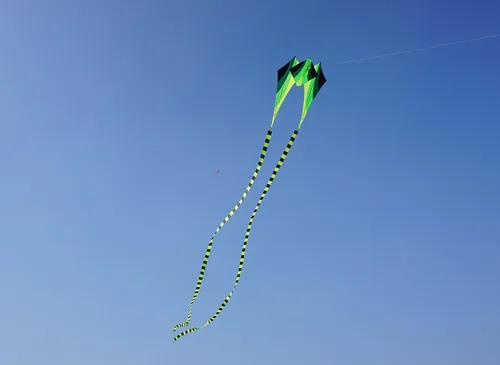 Miniatura 7 de Besra Cometa grande de rana fluida de diamante 3D de una sola línea con 2 colas largas, deportes divertidos al aire libre para niños y adultos
