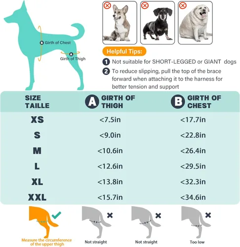 Miniatura 7 de Rodillera para perro para pierna trasera desgarrada, ajustable para pierna trasera con 4 estabilizadores, reduce el dolor, lesiones de ligamentos