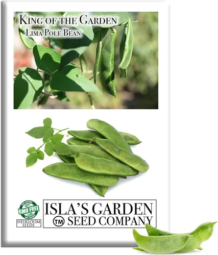 King of The Garden - Semillas de frijol Lima (Pole Lima, Phaseolus lunatus) – Más de 25 semillas de reliquia no transgénicas de Isla's Garden Seeds,