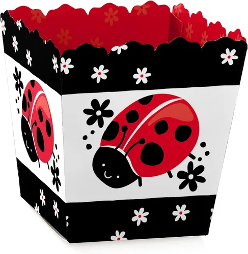 Big Dot of Happiness Happy Little Ladybug - Juego de 12 cajas de regalo para fiesta de baby shower o cumpleaños