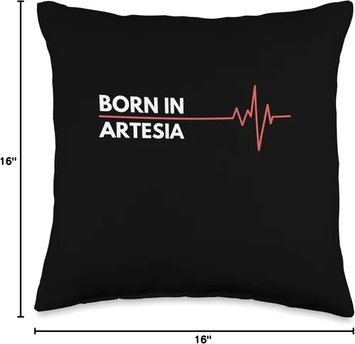 Miniatura 4 de Made In Artesia New Mexico Co. Inc. Made in Artesia New Mexico City of Birth Birthplace - Almohada de 16 x 16 pulgadas, multicolor