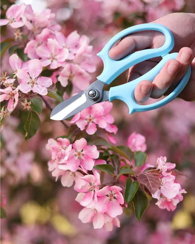 Miniatura 3 de Tijeras de flores – Tijeras florales de acero inoxidable, cortadores de floristería para tallos, tijeras de plantas de jardín para flores frescas