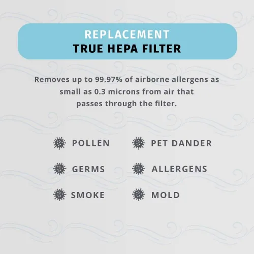 Miniatura 2 de Homedics TotalClean - Filtro de repuesto para purificador de aire tipo HEPA, funciona con purificadores de aire Homedics AT-PET01, AT-PET02 y AT-45